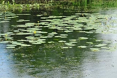 Polen: Urlaub auf dem Wasser